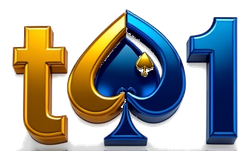 t01